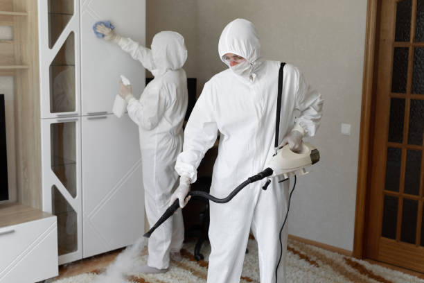 24/7 Emergency Odor Removal experts in Jackson, CA